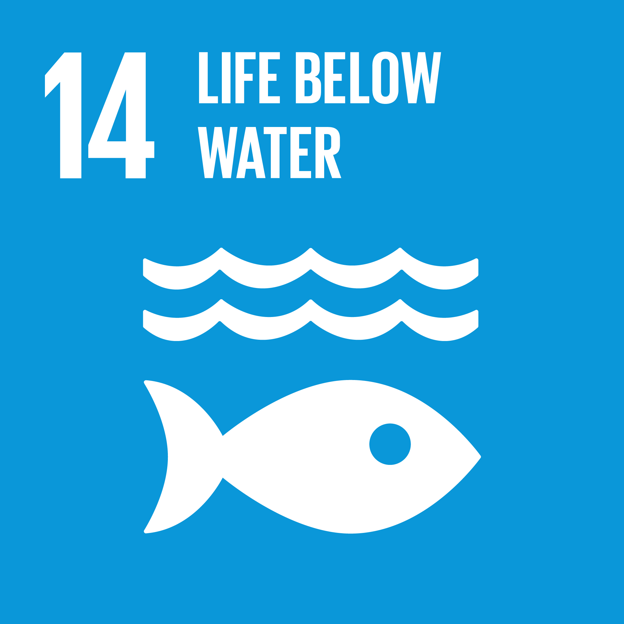 SDG 14: ทรัพยากรทางทะเล