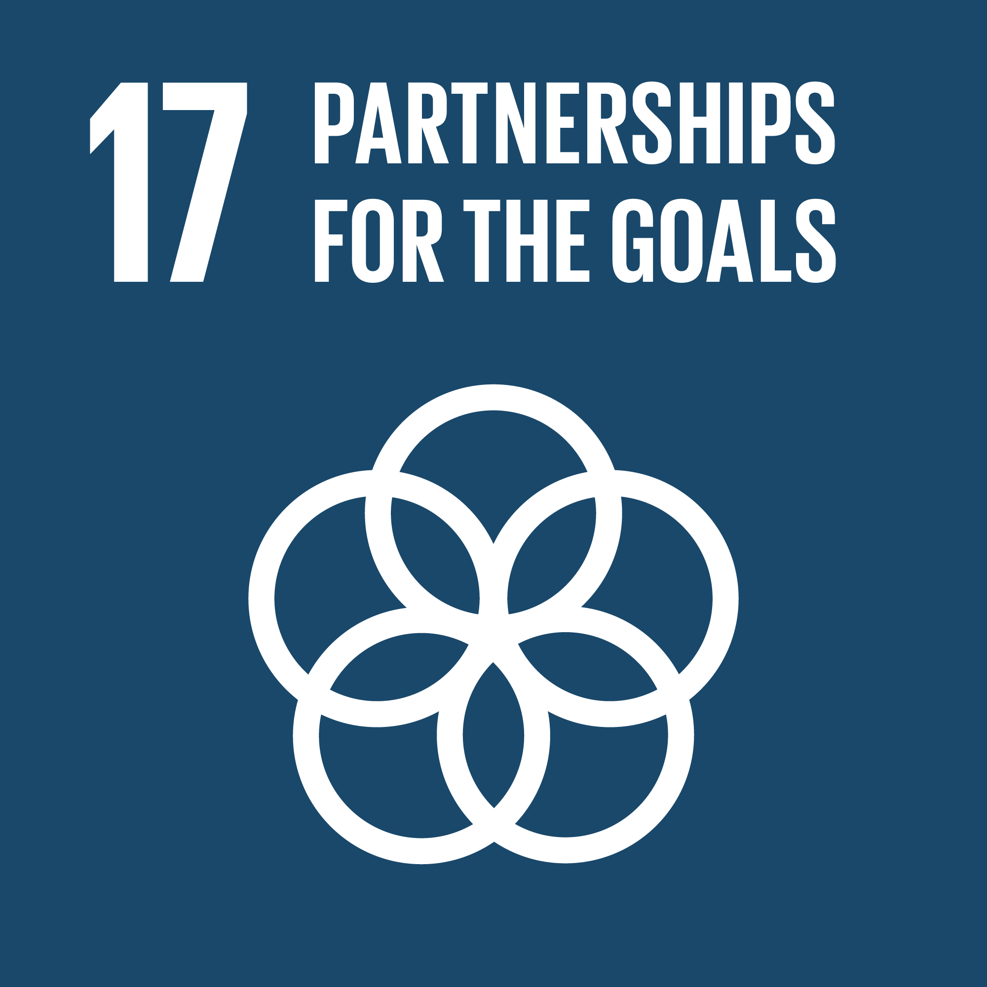 SDG 17: ร่วมมือเพื่อพิชิตเป้าหมายการพัฒนาที่ยั่งยืน